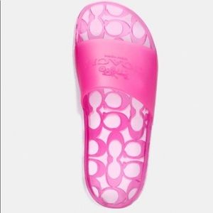 Coach slides